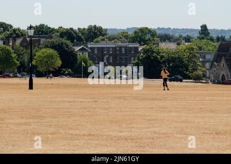 Blackheath, London, Großbritannien. 9. August 2022. Dürrewarnungen in Großbritannien: Ausgetrockntes Gras auf Blackheath. Kredit: Matthew Chattle/Alamy Live Nachrichten Stockfoto