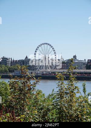 Antwerpen, Belgien, 02. Juli 2022, das Riesenrad und Blick auf das rechte Ufer von Antwerpen auf der anderen Seite der Schelde Stockfoto