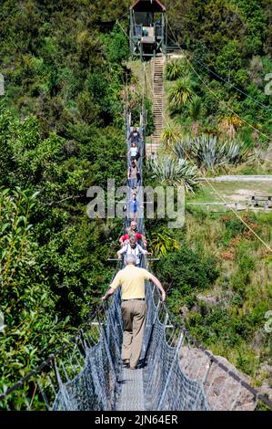 Der Buller Gorge Adventure & Heritage Park in der Nähe von Murchi ist ein wechselweise Verkehr, wenn Besucher die längste Swing-Brücke Neuseelands hoch über dem Buller River überqueren Stockfoto