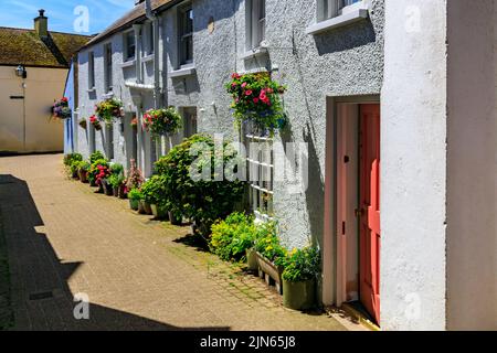 Eine Reihe von farbenfrohen Cottages mit Hängekörben in Cob Lane, Tenby, Pembrokeshire, Wales, Großbritannien Stockfoto