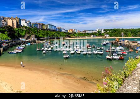 Der malerische geschützte Hafen wird von Reihen farbenfroher Häuser in Tenby, Pembrokeshire, Wales, Großbritannien, überblickt Stockfoto