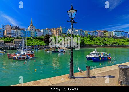 Der malerische geschützte Hafen wird von Reihen farbenfroher Häuser in Tenby, Pembrokeshire, Wales, Großbritannien, überblickt Stockfoto