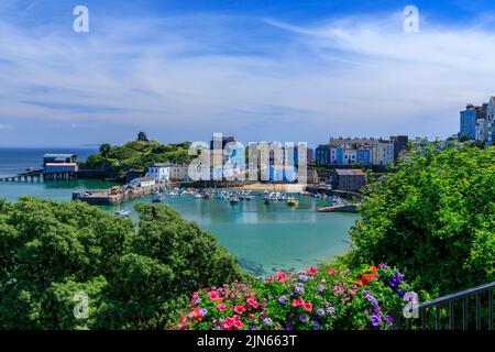 Der malerische geschützte Hafen wird von Reihen farbenfroher Häuser in Tenby, Pembrokeshire, Wales, Großbritannien, überblickt Stockfoto