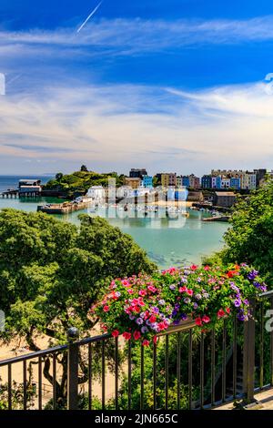 Der malerische geschützte Hafen wird von Reihen farbenfroher Häuser in Tenby, Pembrokeshire, Wales, Großbritannien, überblickt Stockfoto