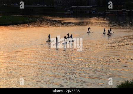 Krakau. Krakau. Polen. Silhouetten von Menschen, die im Abendlicht SUP-Boards auf dem Fluss segeln. Stockfoto