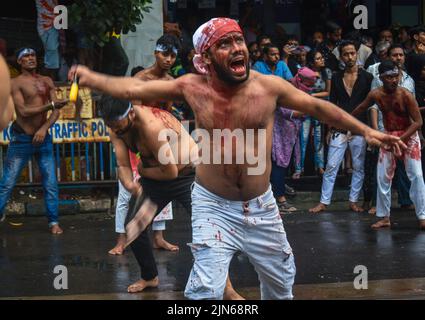 Kalkutta, Westbengalen, Indien. 9. August 2022. (ANMERKUNG DER REDAKTION: Das Bild enthält grafische Inhalte) Schiiten-Muslime geißeln sich während einer Muharram-Prozession, die Ashura in Kalkutta markiert. (Bild: © Sudipta das/Pacific Press via ZUMA Press Wire) Stockfoto