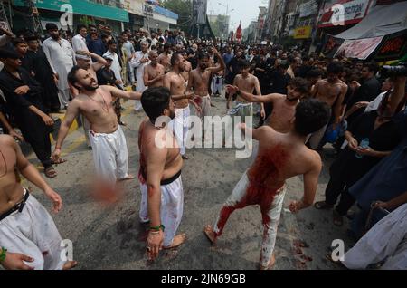 Peshawar, Khyber Pakhtunkhwa, Pakistan. 8. August 2022. Schiitische Muslime geißeln sich während der Prozession zum Ashura-Tag in Peshawar, Pakistan, am 08. August 2022. Schiitische Muslime beobachten den heiligen Monat Muharram, dessen Höhepunkt das Aschura-Fest ist, das an das Martyrium von Imam Hussein, einem Enkel des Propheten Mohammed, in der Schlacht der irakischen Stadt Karbala im siebten Jahrhundert erinnert. (Bild: © Hussain Ali/Pacific Press via ZUMA Press Wire) Stockfoto