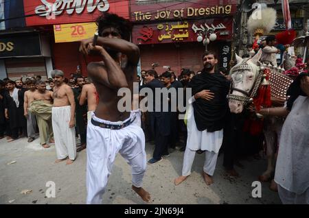 Peshawar, Khyber Pakhtunkhwa, Pakistan. 8. August 2022. Schiitische Muslime geißeln sich während der Prozession zum Ashura-Tag in Peshawar, Pakistan, am 08. August 2022. Schiitische Muslime beobachten den heiligen Monat Muharram, dessen Höhepunkt das Aschura-Fest ist, das an das Martyrium von Imam Hussein, einem Enkel des Propheten Mohammed, in der Schlacht der irakischen Stadt Karbala im siebten Jahrhundert erinnert. (Bild: © Hussain Ali/Pacific Press via ZUMA Press Wire) Stockfoto