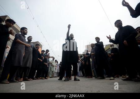 Peshawar, Khyber Pakhtunkhwa, Pakistan. 8. August 2022. Schiitische Muslime geißeln sich während der Prozession zum Ashura-Tag in Peshawar, Pakistan, am 08. August 2022. Schiitische Muslime beobachten den heiligen Monat Muharram, dessen Höhepunkt das Aschura-Fest ist, das an das Martyrium von Imam Hussein, einem Enkel des Propheten Mohammed, in der Schlacht der irakischen Stadt Karbala im siebten Jahrhundert erinnert. (Bild: © Hussain Ali/Pacific Press via ZUMA Press Wire) Stockfoto