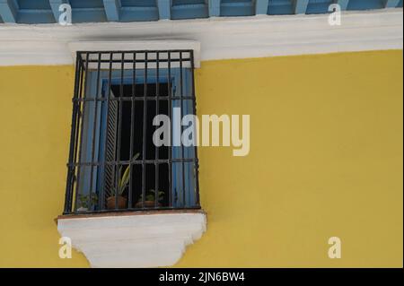 Altes spanisches Kolonialgebäude Holzfenster mit handgefertigten schmiedeeisernen Gittern an einer gelben Stuckwand in Alt-Havanna, Kuba. Stockfoto