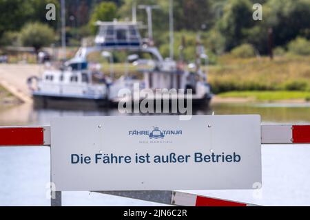 Darchau, Deutschland. 09. August 2022. Die Fähre 'Tanja' musste den Fährdienst zwischen Darchau und neu Darchau wegen des geringen Wasseraufwettes in der Elbe einstellen. Mehr als 1.500 Menschen nutzen die Fähre in Neuhaus im Durchschnitt täglich. Aufgrund der Schließung der nahegelegenen alternativen Brücke müssen Pendler derzeit lange Umwege zurückgelegt werden. Quelle: Jens Büttner/dpa/Alamy Live News Stockfoto