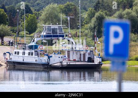 Darchau, Deutschland. 09. August 2022. Die Fähre 'Tanja' musste den Fährdienst zwischen Darchau und neu Darchau wegen des geringen Wasseraufwettes in der Elbe einstellen. Mehr als 1.500 Menschen nutzen die Fähre in Neuhaus im Durchschnitt täglich. Aufgrund der Schließung der nahegelegenen alternativen Brücke müssen Pendler derzeit lange Umwege zurückgelegt werden. Quelle: Jens Büttner/dpa/Alamy Live News Stockfoto