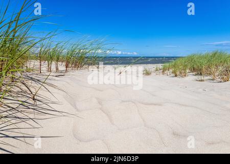 Wunderschöne Sanddünen am Ostseestrand Stockfoto
