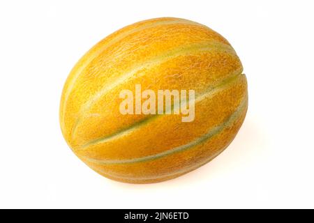 Ganze reife gelbe Melone isoliert auf weißem Hintergrund. Nahaufnahme. Stockfoto