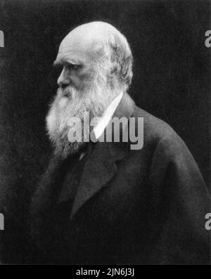 Großbritannien -- Porträt von Charles Darwin - einem der größten Wissenschaftler, der nach einer Reise mit HMS Beagle nach Südamerika berühmt wurde, die zum Stockfoto