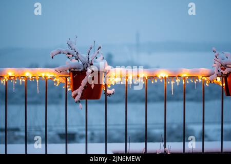 Pflanzen Sie den von Schnee bedeckten Topf mit glühenden weihnachtslichtern. Dämmerung und Dämmerung nach Sonnenuntergang. Kaltes Wetter im Winter. Stockfoto