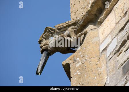 Verwitterte alte Wasserspeier gegen blauen Himmel auf All Saints Church Weston auf Avon Warwickshire UK Stockfoto