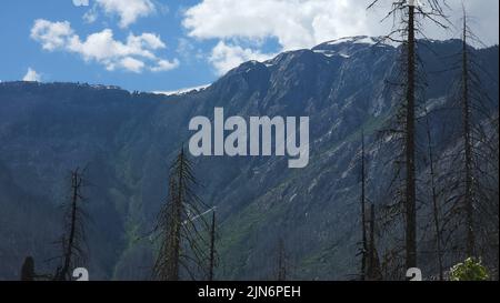 Eine malerische Aussicht auf die schönen Berge mit den umliegenden Waldgebieten in Squamish, British Colombia Stockfoto