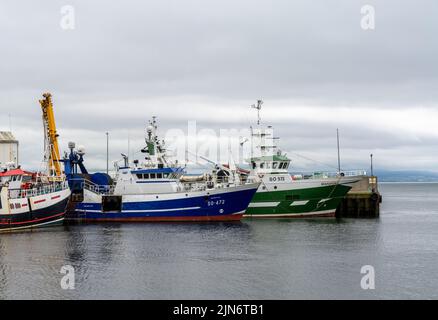 Greencastle, Irland - 9. Juli 2022: Bunte Fischerboote und Trawler im geschützten Hafen und Hafen von Greencastle Stockfoto