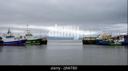 Greencastle, Irland - 9. Juli 2022: Bunte Fischerboote und Trawler im geschützten Hafen und Hafen von Greencastle Stockfoto