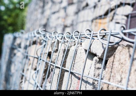 Schöne und detailreiche Porträts im Außenbereich. Stockfoto