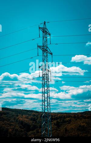 Schöne und detailreiche Porträts im Außenbereich. Stockfoto