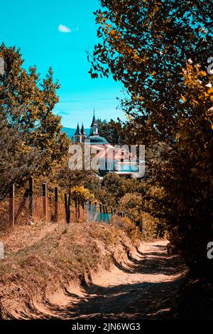 Schöne und detailreiche Porträts im Außenbereich. Stockfoto