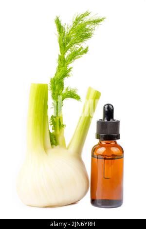 Eine Flasche Fenchel ätherisches Öl Fenchel mit frischen grünen Zweigen und Fenchelsamen im Hintergrund Stockfoto