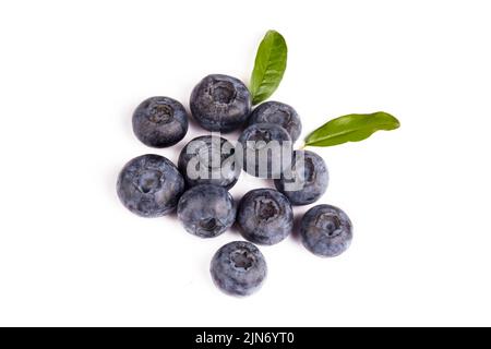 Frische Heidelbeeren mit Blaubeerblättern auf weißem Hintergrund isoliert. Stockfoto