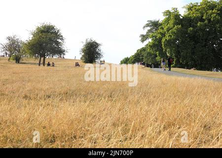 London, 9. 2022. August. Nach einer der trockensten Julys seit Jahrzehnten sieht Primrose Hill im Norden Londons mehr wie ein Heufeld aus. Das Met Office hat eine bernsteinfarbene Wetterwarnung ausgegeben, da die Temperaturen wieder auf 40 Grad ansteigen. Kredit : Monica Wells/Alamy Live Nachrichten Stockfoto