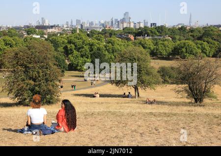 London, 9. 2022. August. Nach einer der trockensten Julys seit Jahrzehnten sieht Primrose Hill im Norden Londons mehr wie ein Heufeld aus. Das Met Office hat eine bernsteinfarbene Wetterwarnung ausgegeben, da die Temperaturen wieder auf 40 Grad ansteigen. Kredit : Monica Wells/Alamy Live Nachrichten Stockfoto