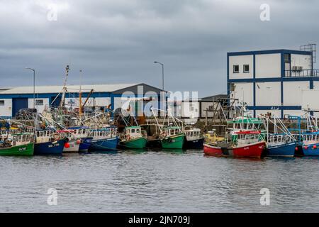 Greencastle, Irland - 9. Juli 2022: Bunte Fischerboote und Trawler im geschützten Hafen und Hafen von Greencastle Stockfoto