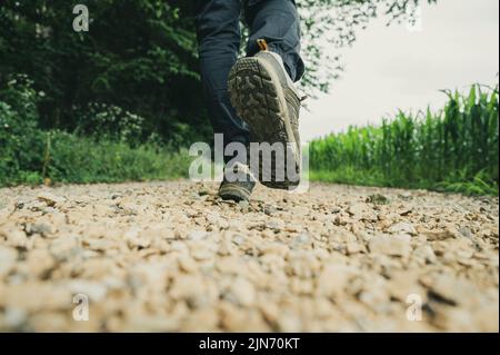 Flache Ansicht eines männlichen Beines in Wanderschuhen, der auf einer Schotterstraße mit grünen Maisfeldern herumläuft oder läuft. Stockfoto