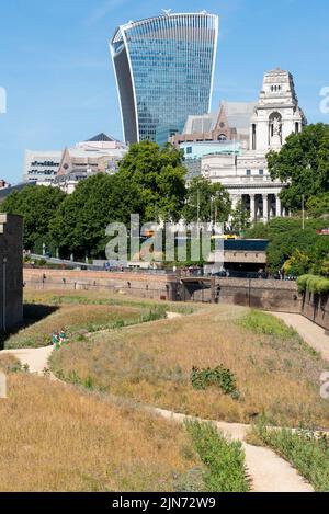 Tower of London Superbloom Besucherattraktion im August 2022 bei heißem Wetter. Trockene, ausgetrocknete Pflanzen, die unter Trockenheit leiden. 20 Fenchurch Street Stockfoto