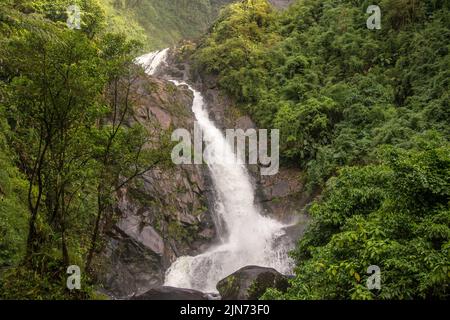 Deer Wasserfall - Bocaina Range Stockfoto