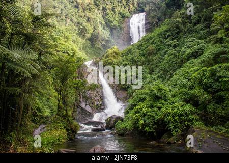 Deer Wasserfall - Bocaina Range Stockfoto