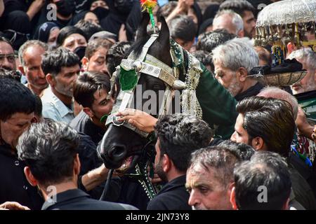 Srinagar, Indien. 09. August 2022. Schiitische Muslime in Kaschmir führen Rituale durch, um Aschura zu markieren. Aschura ist der zehnte Tag von Muharram, dem ersten Monat des islamischen Kalenders, der weltweit zum Gedenken an das Martyrium von Imam Hussain, dem Enkel des Propheten Muhammad (PBUH), beobachtet wird. Kredit: SOPA Images Limited/Alamy Live Nachrichten Stockfoto