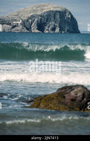 Bass Rock vom Seacliff Beach in der Nähe von North Berwick, East Lothian, Schottland Stockfoto