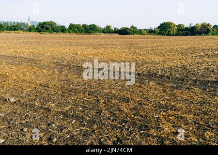 Leeres Feld nach der Weizenernte. Herbst. Globale Nahrungsmittelkrise 2022 Stockfoto