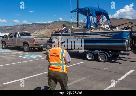 Gunnison, Colorado - Carol Soell, ein Bootsinspektor im Curecanti National Recreation Area, überprüft Boote, die in das Blue Mesa Reservoir einfahren und es verlassen Stockfoto