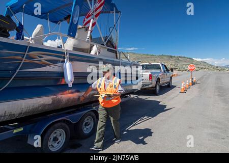 Gunnison, Colorado - Carol Soell, ein Bootsinspektor im Curecanti National Recreation Area, überprüft Boote, die in das Blue Mesa Reservoir einfahren und es verlassen Stockfoto