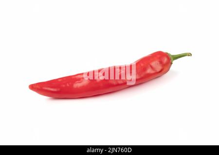 Rote Chilischoten oder Chili Cayennepfeffer auf weißem Hintergrund isoliert. Bio-Chilischote isoliert auf hellem Hintergrund. Nahaufnahme. Stockfoto