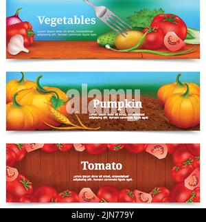 Drei bunte horizontale Banner mit Gemüse und Greengrocery für Salat Kürbis in Feld und Tomate Frame Vektor-Illustration Stock Vektor