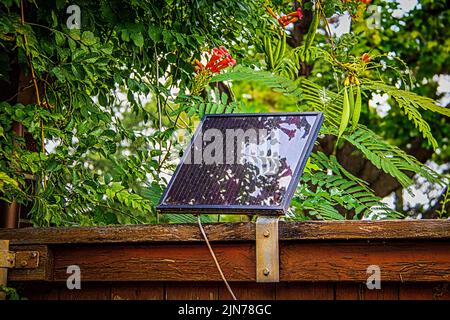 Kleine Solaranlage - verwendet, um Toröffner - montiert auf rustikalen hölzernen Privatsphäre Zaun von Trompete Rebe umgeben Stockfoto