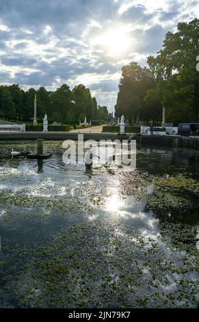 Potsdam, Deutschland. 09. August 2022. Mitarbeiter der Stiftung Preußische Schlösser und Gärten entfernen das Algenwachstum aus dem Wasserbecken des Großen Brunnens im Park Sanssouci, das hauptsächlich aus Meerjungfrauen-Unkraut und Wasserpflanzen besteht. Normalerweise geschieht dies einmal im Jahr, wenn das Wasser ebenfalls vollständig abgelassen wird. In den letzten Jahren ist das Wachstum durch Sonnenlicht und den Einsatz von Wasser aus der Havel so stark angestiegen, dass eine weitere Reinigung notwendig ist. Quelle: Jens Kalaene/dpa/Alamy Live News Stockfoto