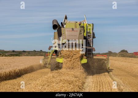 Graball Bay, Crosshaven, Cork, Irland. 09.. August 2022. Farmunternehmer Richard Gotto erntet Frühlingsgerste auf der Farm von Gordon Bryan in Graball Bay, Crosshaven, Co. Cork, Irland. - Credit; David Creedon / Alany Live News Stockfoto