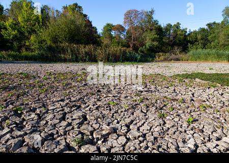 9. August 2022 - London, Großbritannien, der Zierwasserteich im Wanstead Park trocknete aufgrund der Hitzewellen und der hohen Temperaturen in der Stadt aus Stockfoto