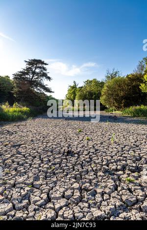 9. August 2022 - London, Großbritannien, der Zierwasserteich im Wanstead Park trocknete aufgrund der Hitzewellen und der hohen Temperaturen in der Stadt aus Stockfoto