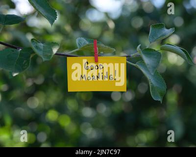 Eine gelbe Papiernote mit dem Satz Guten Morgen! Auf ihr befestigt an einem Ast mit der Kleidernadel. Nahaufnahme. Stockfoto