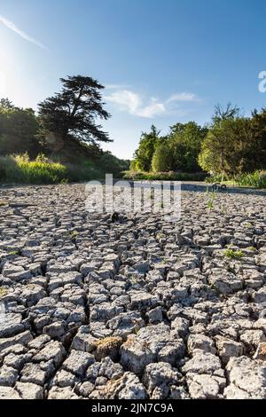 9. August 2022 - London, Großbritannien, der Zierwasserteich im Wanstead Park trocknete aufgrund der Hitzewellen und der hohen Temperaturen in der Stadt aus Stockfoto